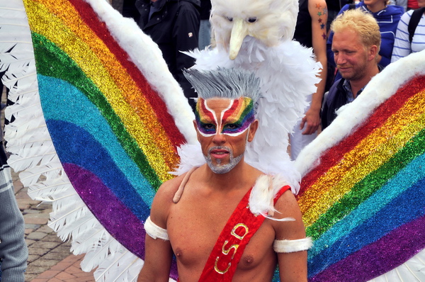 CSD_Demo   018.jpg